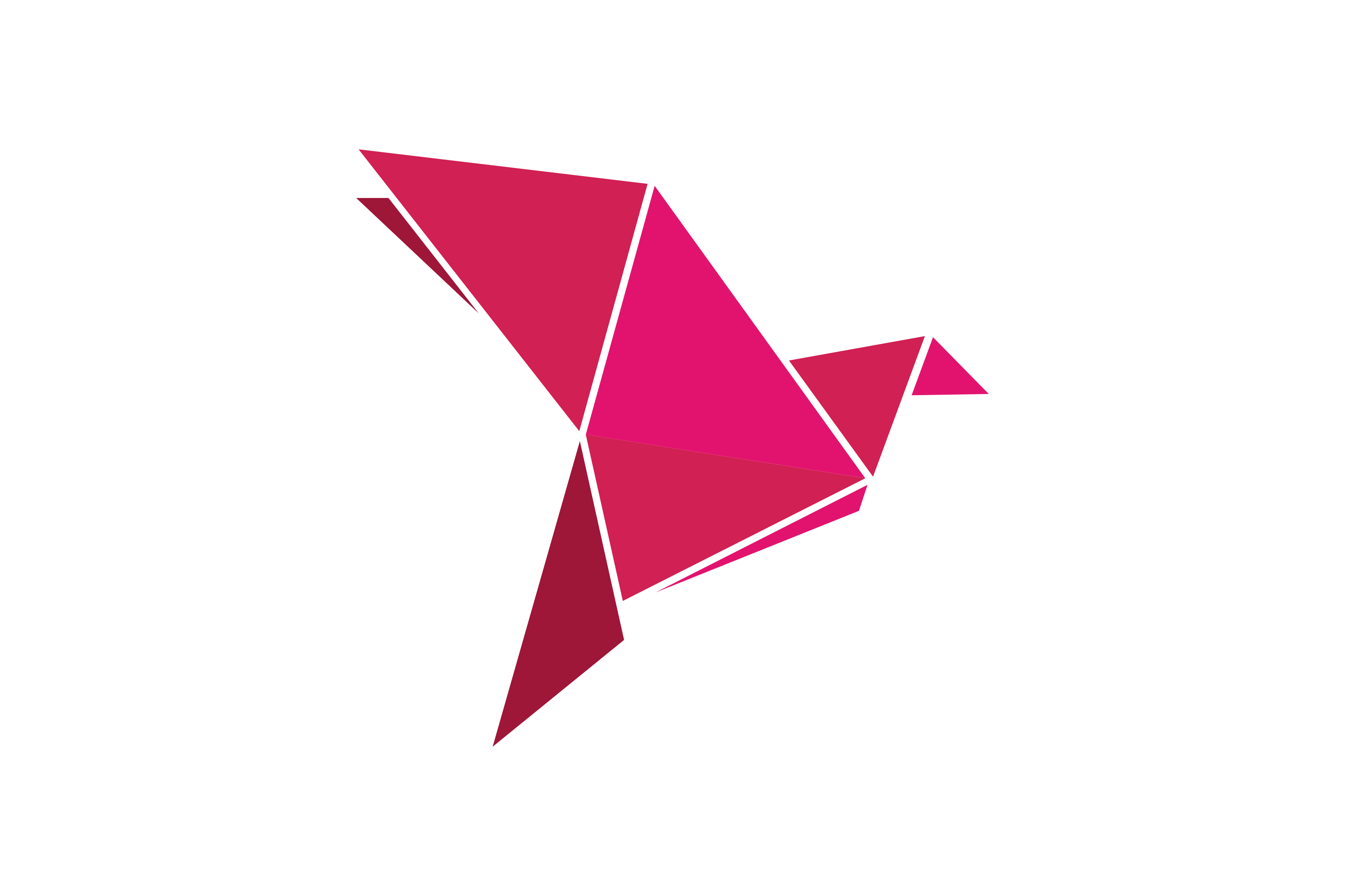 bKash Logo